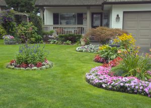 March Checklist For Nj Landscape, Best Landscapers In South Jersey