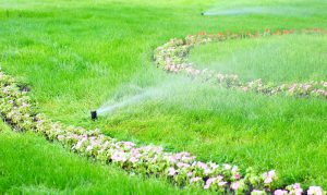 Benefits of Investing in NJ Irrigation Products