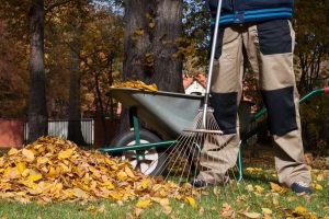Top Quality Lawn Care Tips For NJ Properties in the Fall