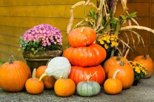 Giving Thanks: Beautiful Autumn Landscapes for NJ Gardens