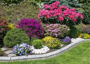 Artistic Ways to Add Color and Texture to Your NJ Backyard Garden