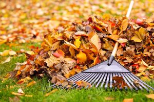 Four Important NJ Fall Lawn Maintenance Tips