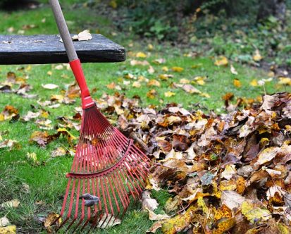 6 Things You Should Do For Your Yard This Fall in New Jersey