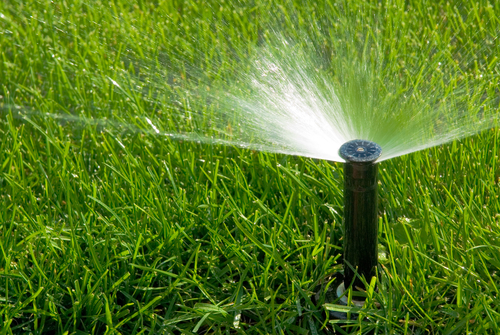Best Ways to Water Your New Jersey Lawn