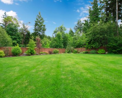 Ways to Make Your Lawn Greener in New Jersey