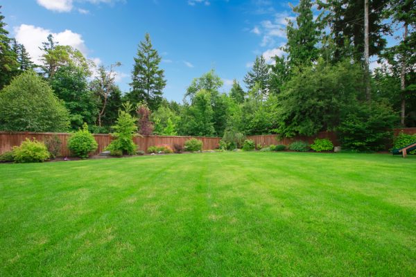 Ways to Make Your Lawn Greener in New Jersey