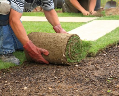 How to Install Sod in New Jersey