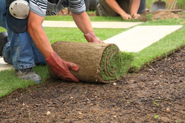 How to Install Sod in New Jersey