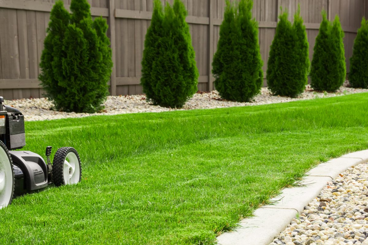 Common Problems With Your Lawn in New Jersey