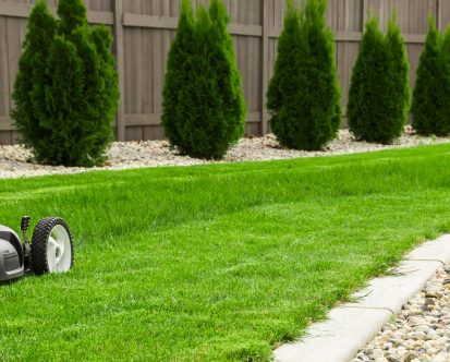 Common Problems With Your Lawn in New Jersey