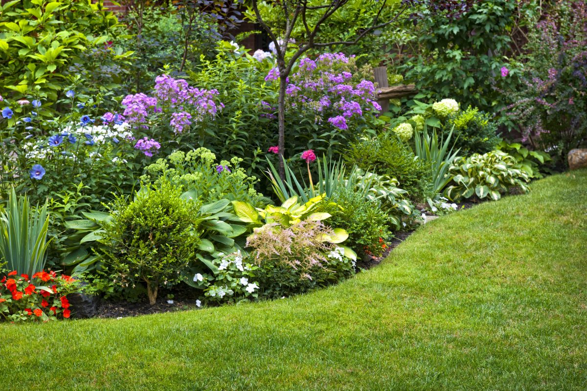 Garden Trends For New Jersey Lawns in 2019