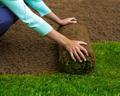 How to Install Sod on Your New Jersey Lawn