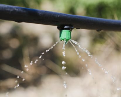 Why You Need Drip Irrigation For Your Lawn in New Jersey