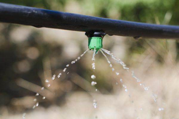 Why You Need Drip Irrigation For Your Lawn in New Jersey