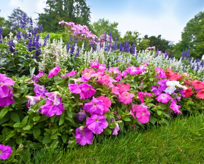 Why You Should Combine Annuals and Perennials This Spring in New Jersey