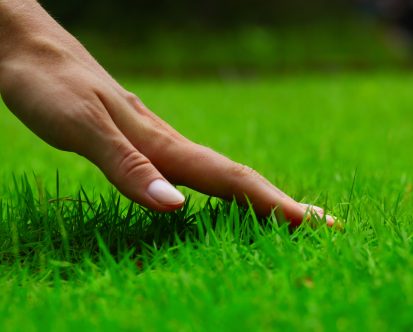How to Care For Your Lawn in Every Season in New Jersey