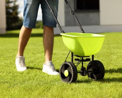 When Should I Put Lime on My Lawn in NJ
