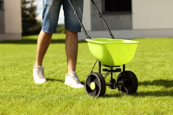 When Should I Put Lime on My Lawn in NJ