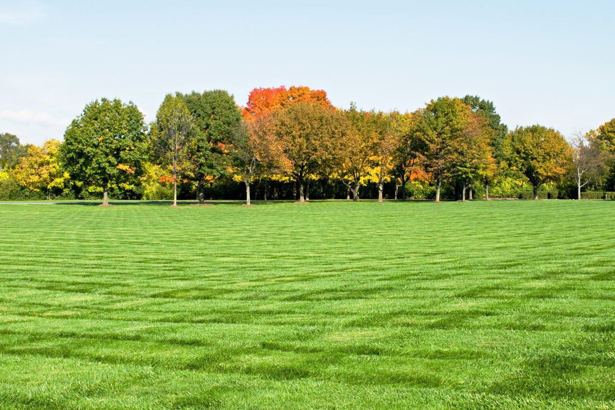 Getting Your Lawn Ready For Fall in Bergen County