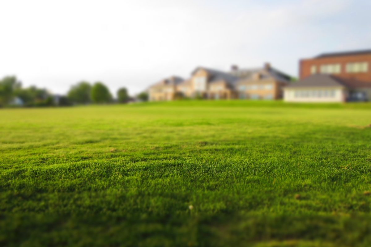Steps to Fertilize Your New Jersey Lawn