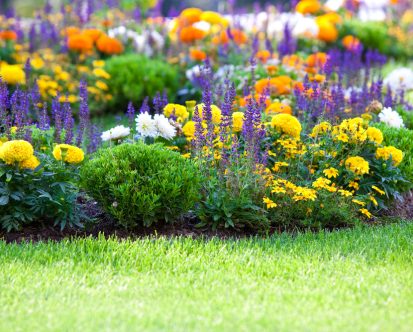 Monthly Maintenance Checklist For Your Lawn in New Jersey