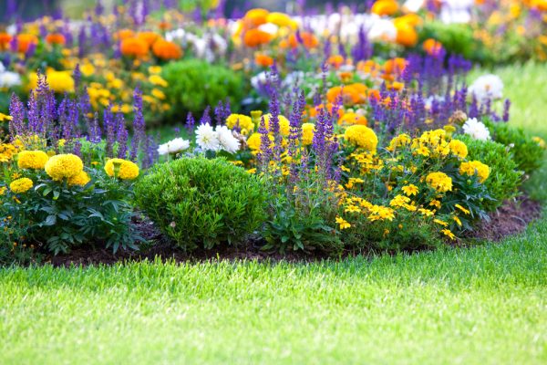 Monthly Maintenance Checklist For Your Lawn in New Jersey
