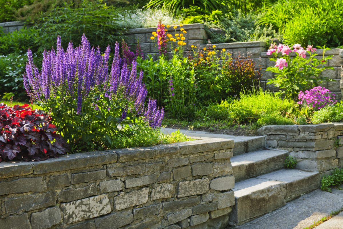Spring Flower Trends for Your New Jersey Garden