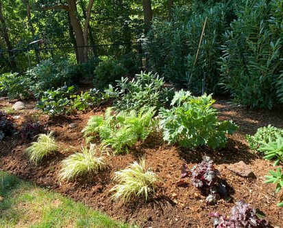 Is Mulch The Best Way To Keep Weeds From Sprouting Up?