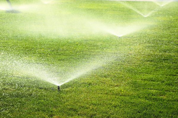 What Is Lawn And Garden Irrigation?