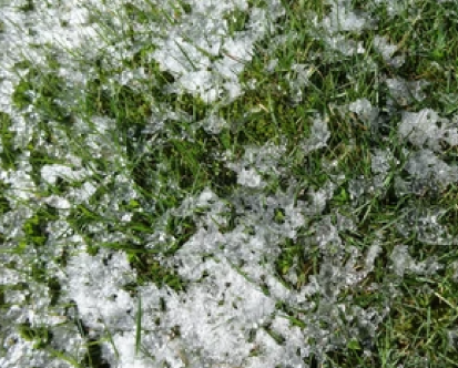 5 Tips To Prepare Your Lawn For Winter
