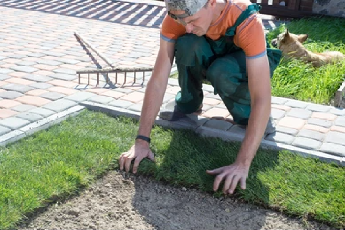 The Power of Commercial Landscaping: How it Affects Your Clients and Employees