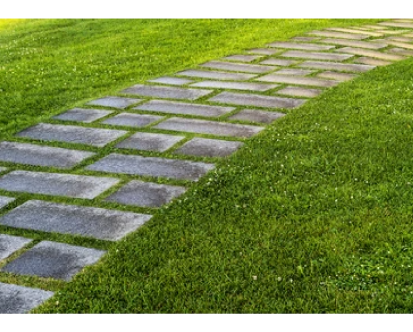 Landscaping for All Seasons: Tips for Year-Round Curb Appeal