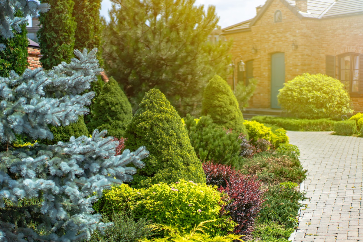 Seasonal Landscaping Magic: How Commercial Services Keep Your Business Vibrant