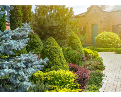 Seasonal Landscaping Magic: How Commercial Services Keep Your Business Vibrant
