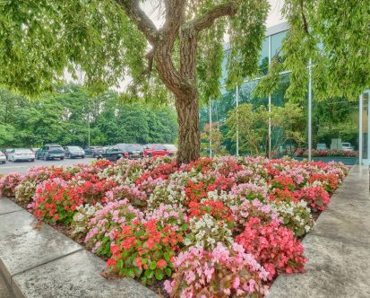 Why Is Commercial Landscaping Important?